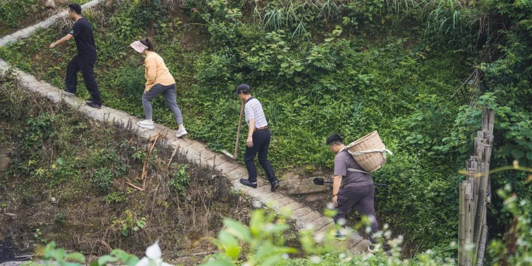 谷医堂“千方百剂”传承中医 数字化助推中医药新发展