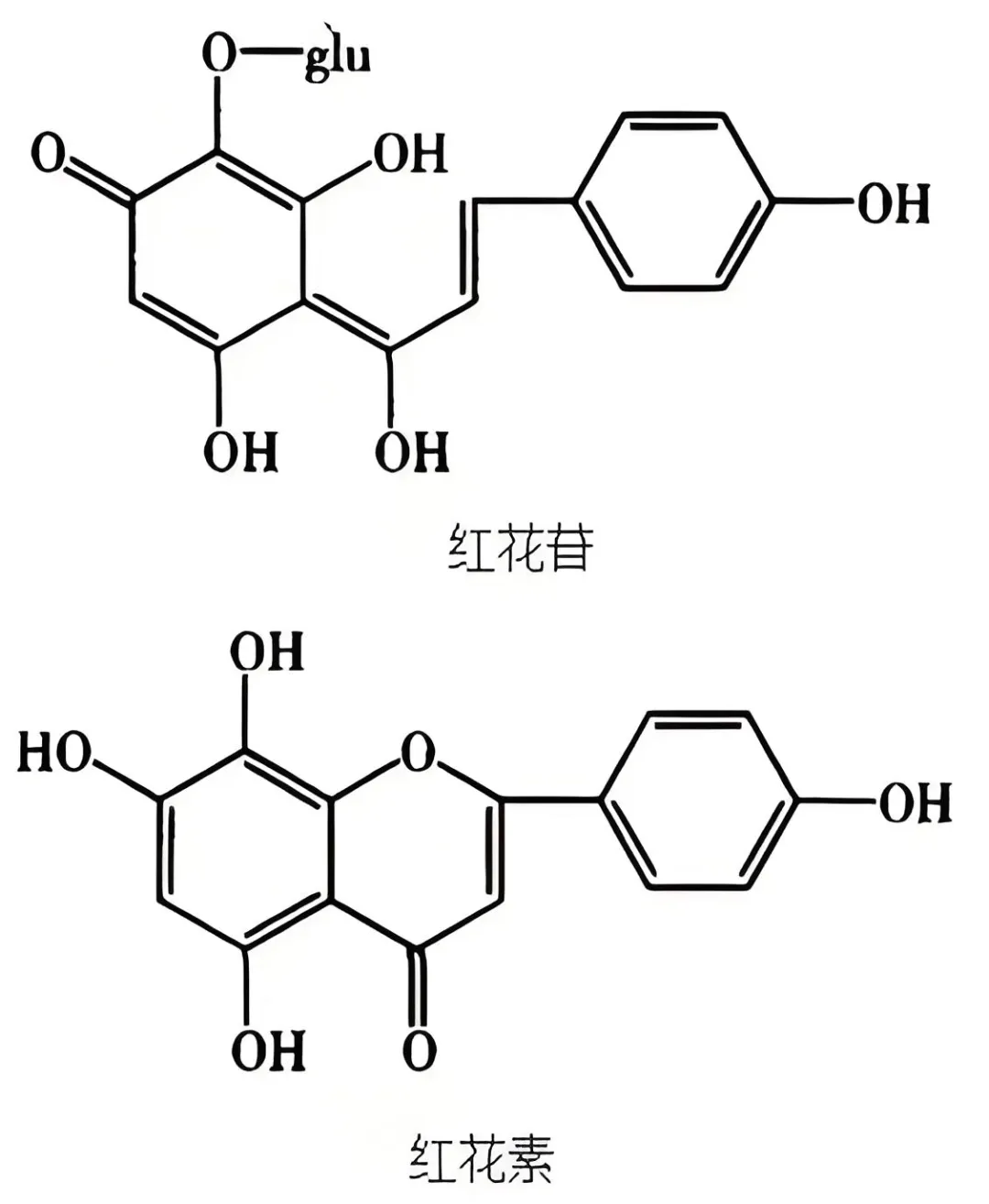 图片67.png