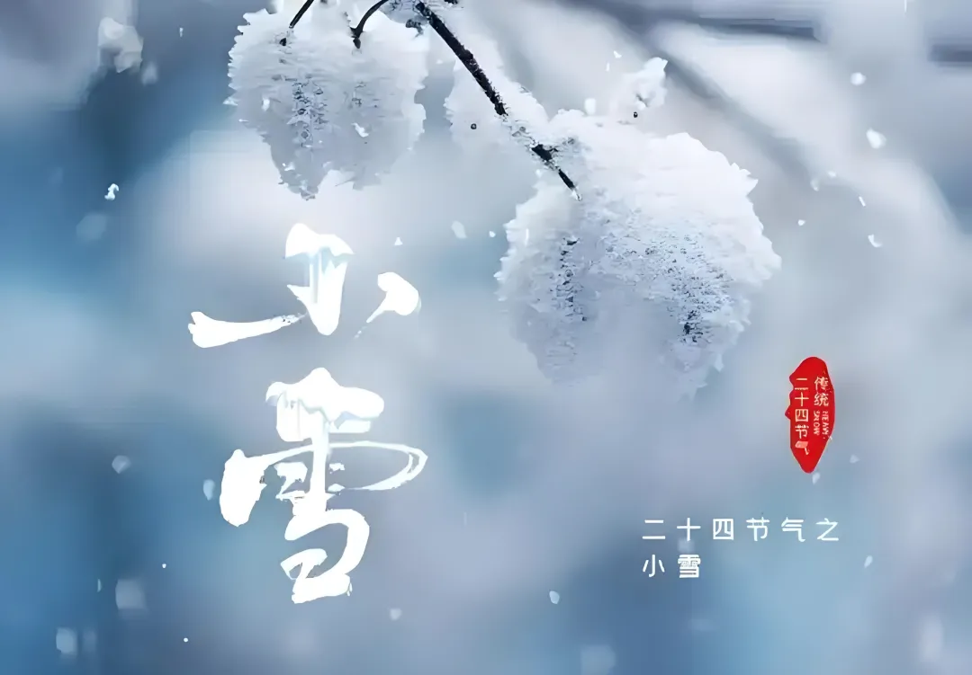 今日小雪：多喝这道茶，温脾胃暖肾阳